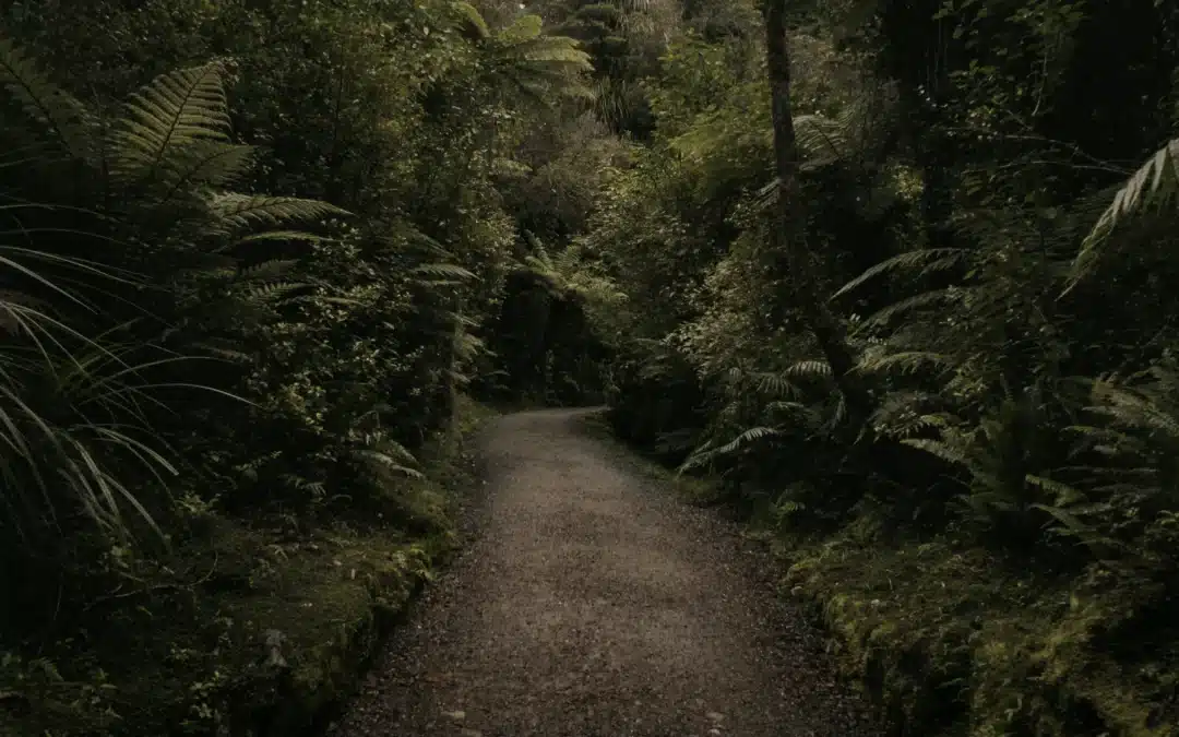 A New Cure for Anemic Investment in Emerging Economies