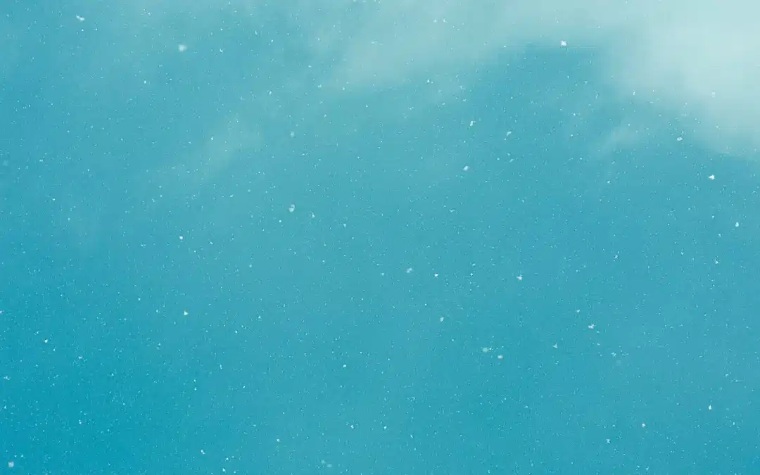 Investment Principles: Leadership and Governance