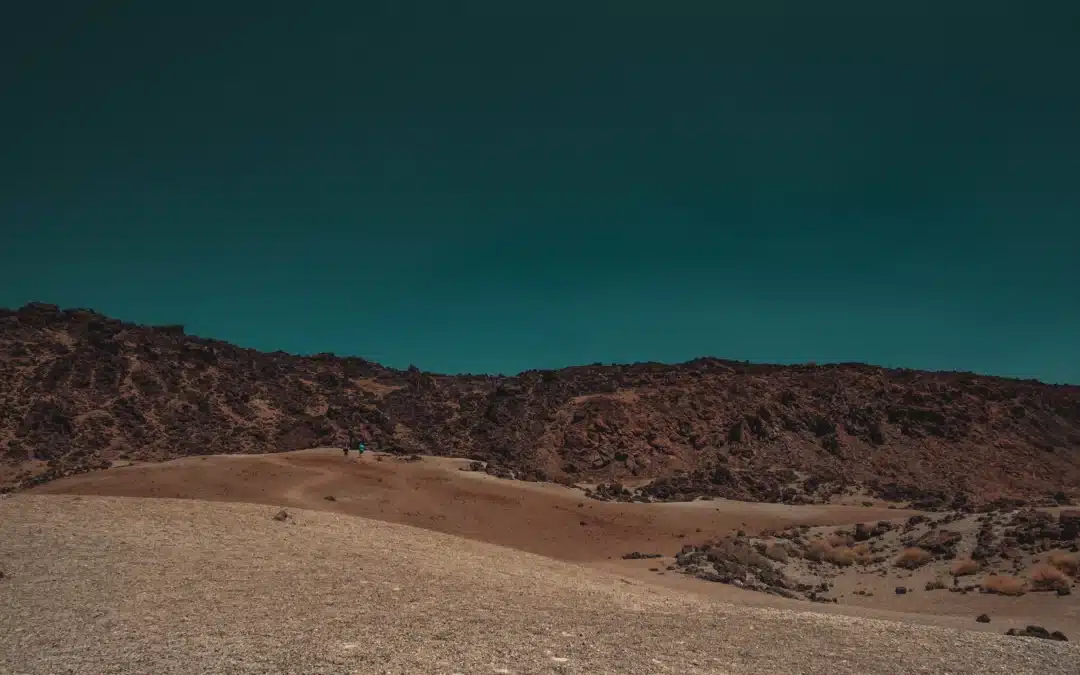 Shareholder Value, Corporate Governance, and Faith Driven Investing