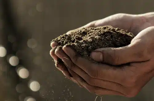 Episode 077 – Investing with the Environment in Mind with Tim Macready