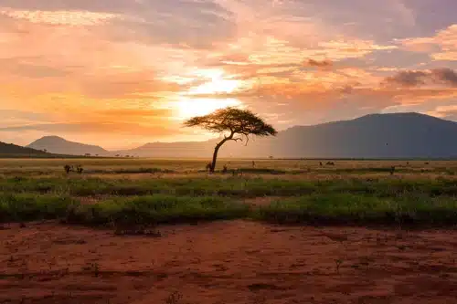 Episode 030 – Faith Driven Investing in Africa with Sid Mofya