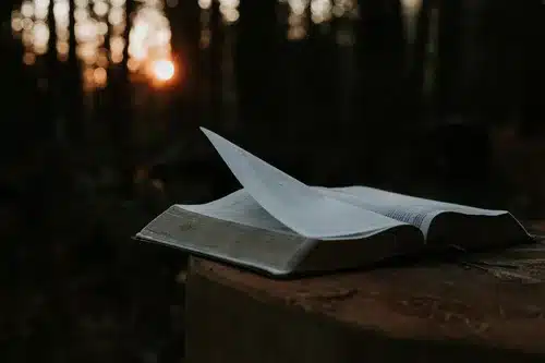 Episode 020 – The Danger of Hanging Your Best investing Ideas on Scripture with Jerry Bowyer